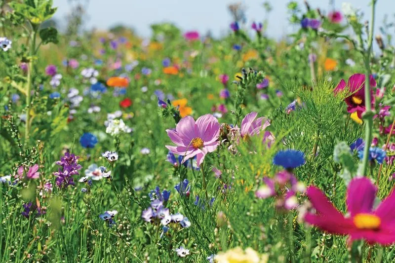 Nachhaltigkeit: Gefragt ist ein ganzheitlicher Ansatz