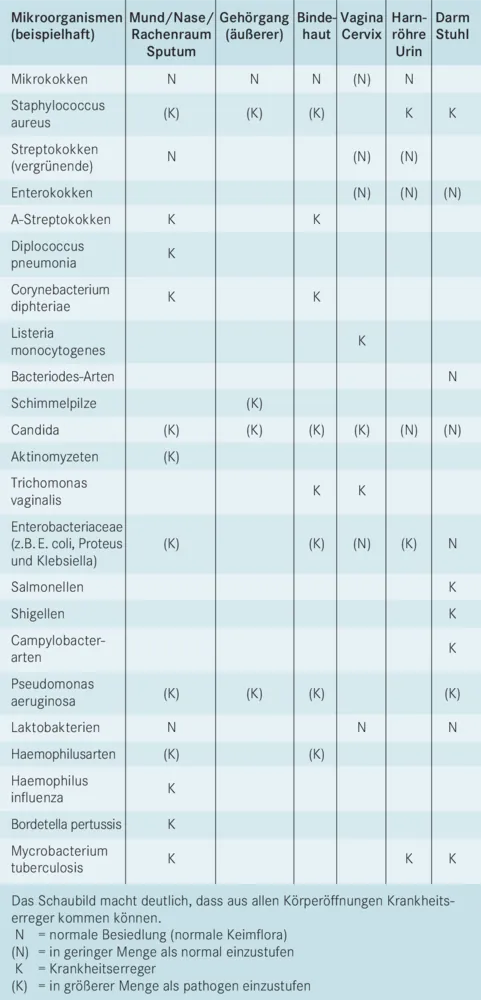 Komplexe Vorschriften
