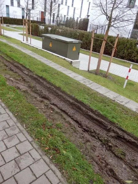 Professionell agiert