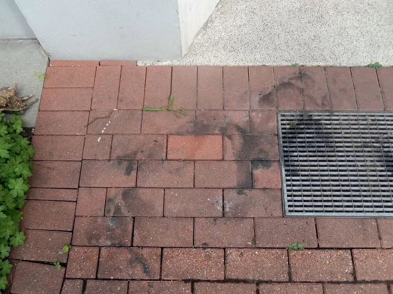 Gebäudereinigerehrgeiz ist gefragt