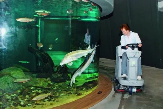 An der Waterkant  den Schmutz gebannt