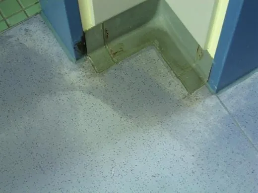 Ohne richtige Unterhaltsreinigung geht nix