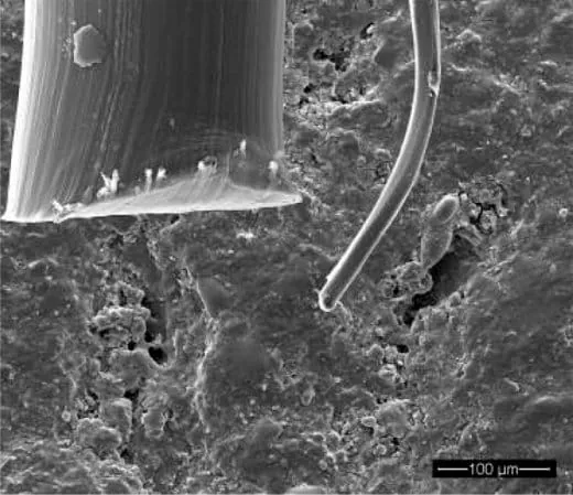 Bei der Reinigung steht viel auf dem „Spiel“