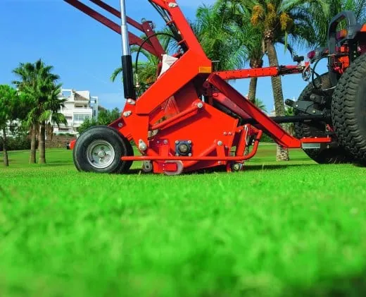 Vertikutieren ist Pflicht