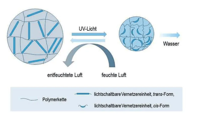 Energieeffiziente Luftentfeuchtung