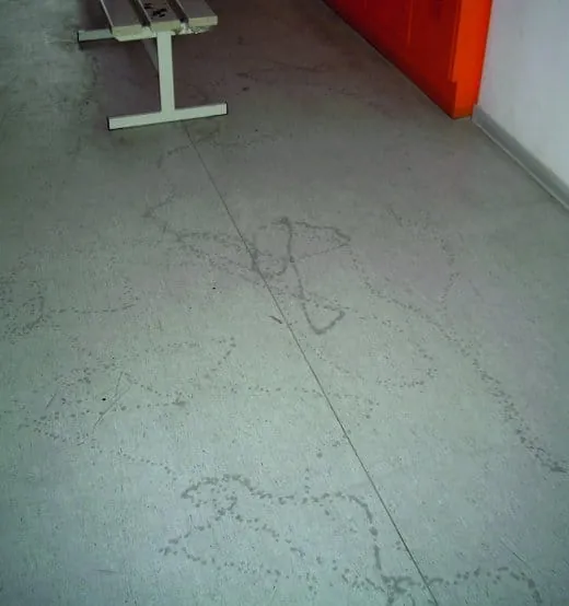 Eine komplexe Komposition