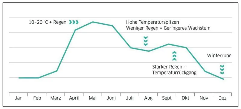 Was tun bei einem ­ Mammutjob?