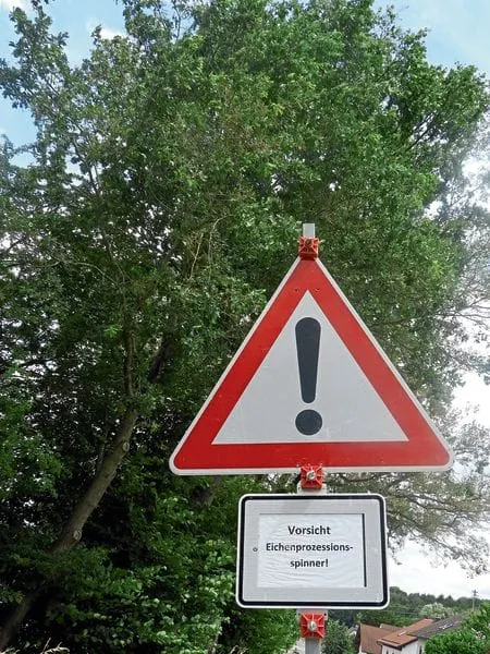 Das große Wimmeln geht weiter