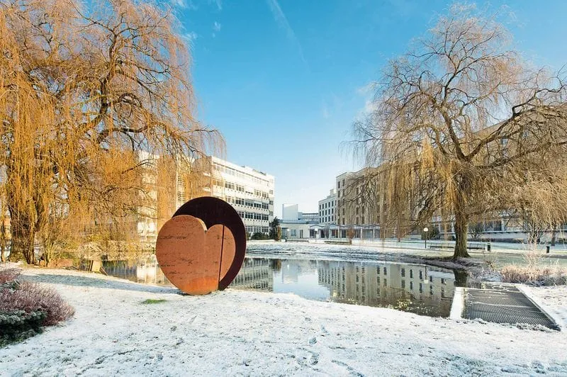 Saubere  Partnerschaft