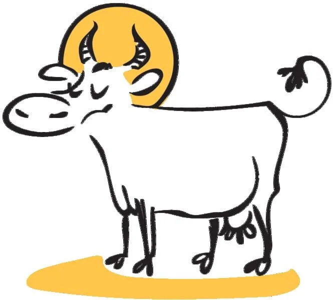 Die geliebten Kühe  schlachten