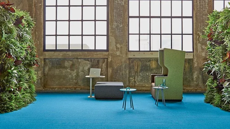 Teppichböden richtig reinigen