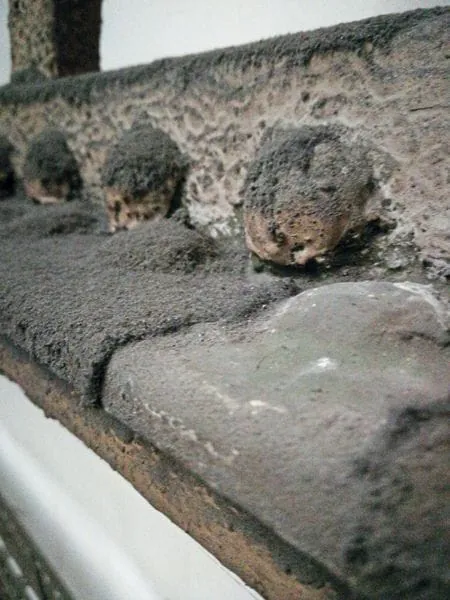 Sicherheitsvorkehrungen  bei der Reinigung beachten