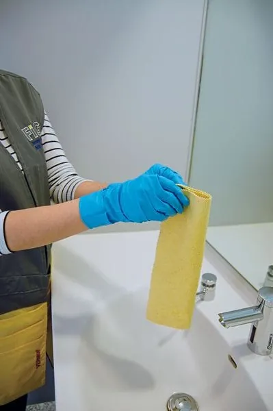 Wie, womit und in welcher ­Reihenfolge  zu reinigen ist