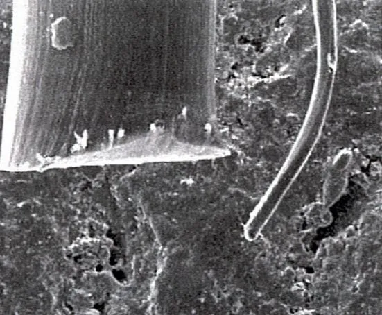 Wechselnde Anforderungen