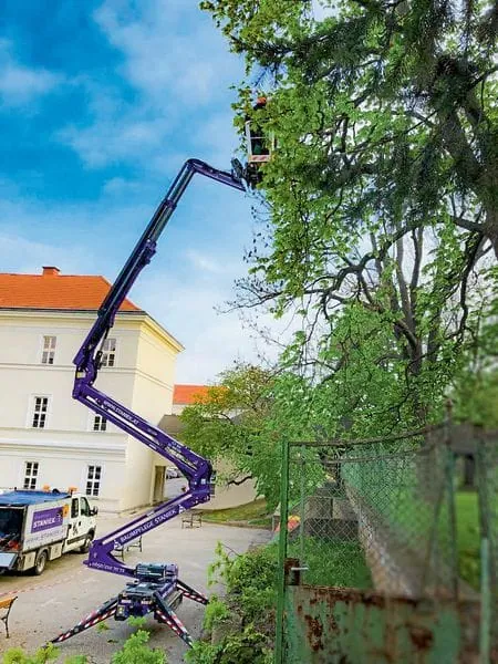 Auf  in die Bäume