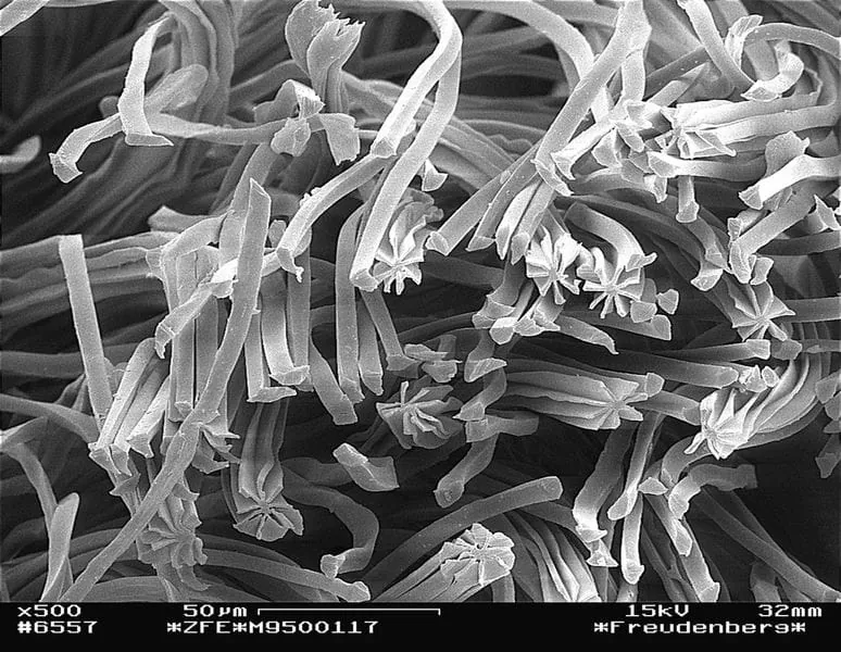 Ein Material mit revolutionären Eigenschaften