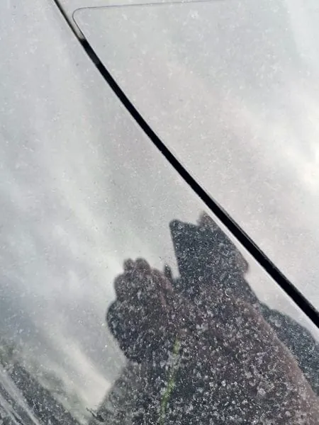 Staubverschmutzung auf Fahrzeugen