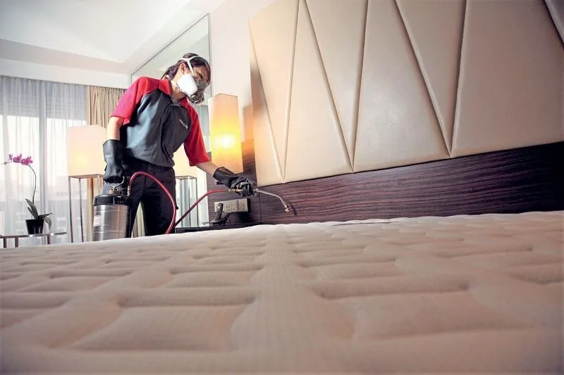 Bekämpfung von Bettwanzen