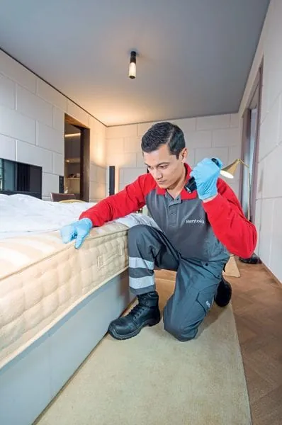 Suche nach Bettwanzen