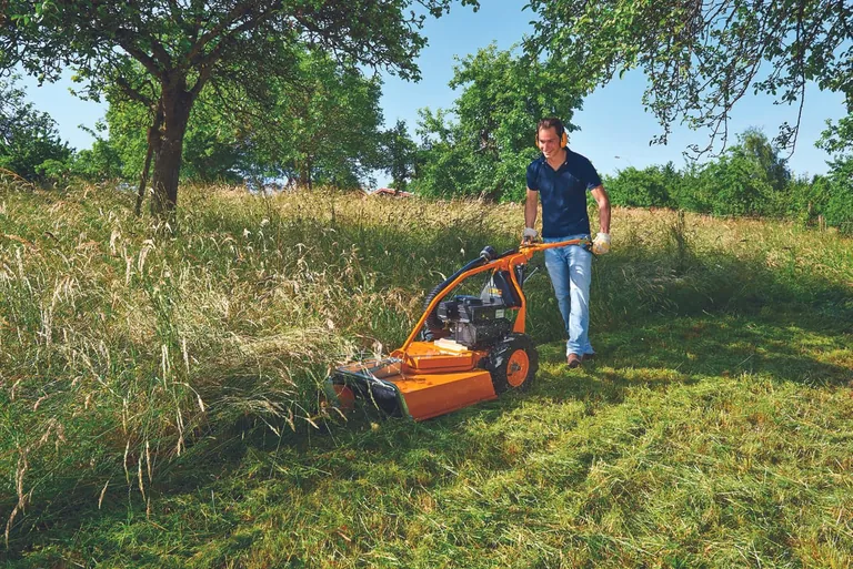 Hochgrasm&auml;her von AS-Motor