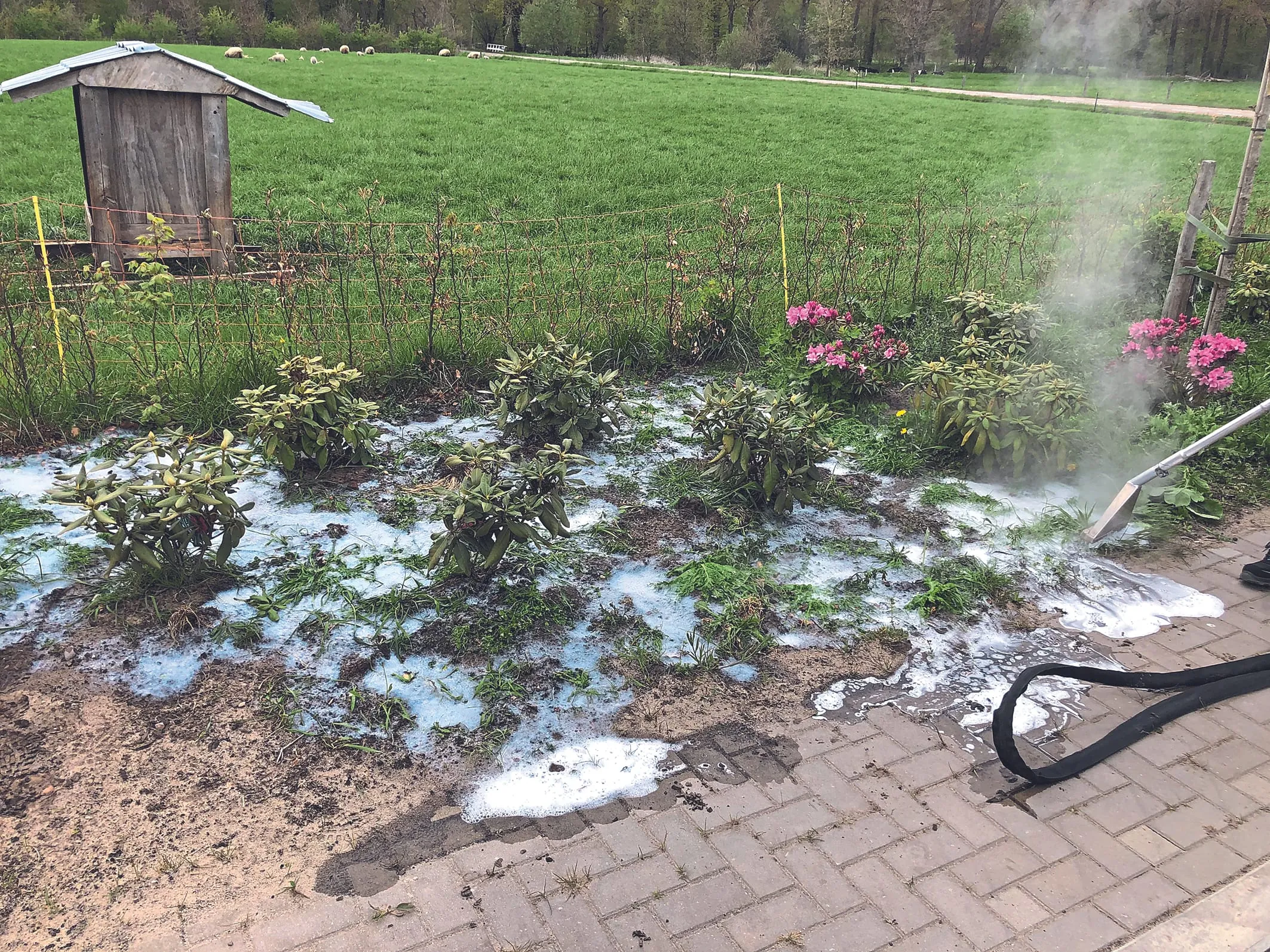 Nachhaltige Unkrautentfernung: Die besten Verfahren