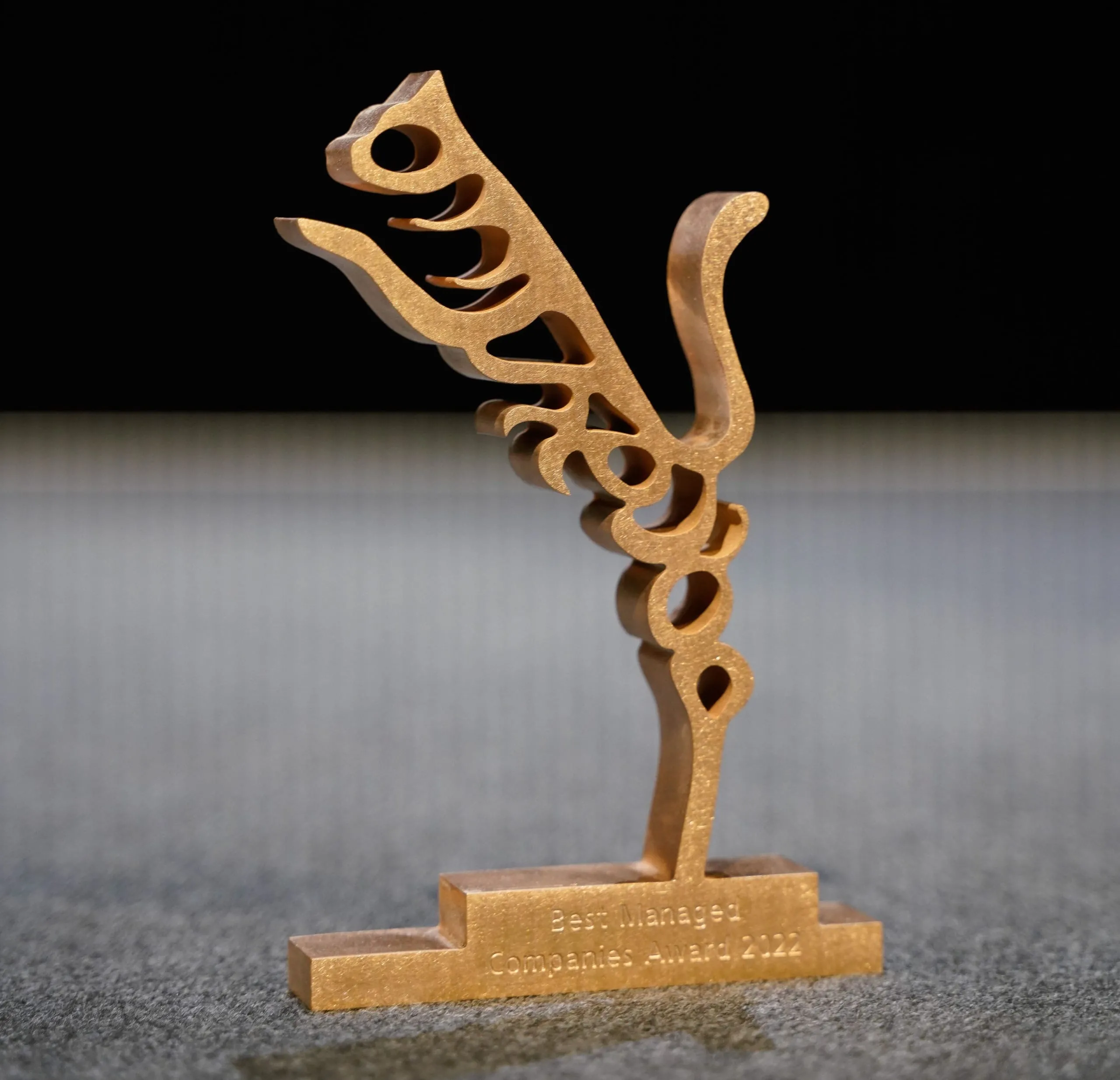 Best Managed Companies Award 2022: Drei Preisträger aus der Branche