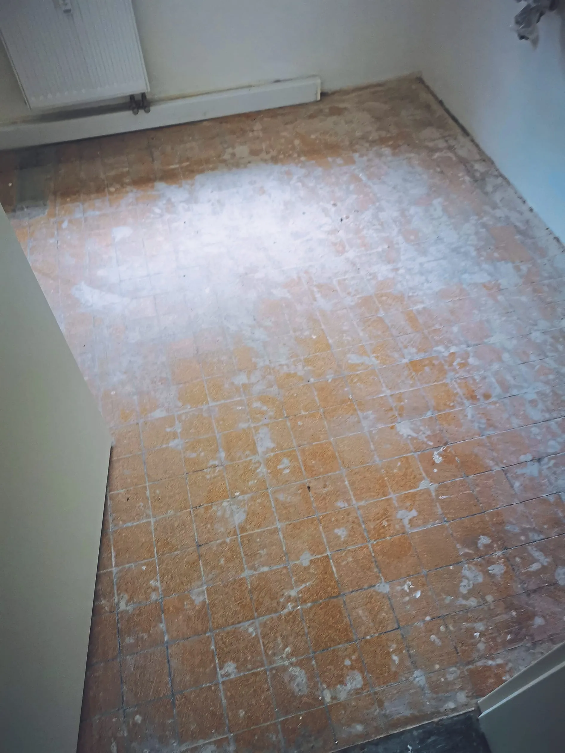 Misslungene Grundreinigung: Wenn  Grundkenntnisse fehlen