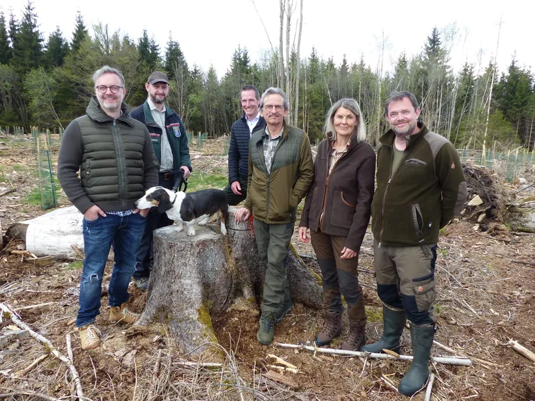 Aufforstungsaktion Tip-Top-Dienstleistungen
