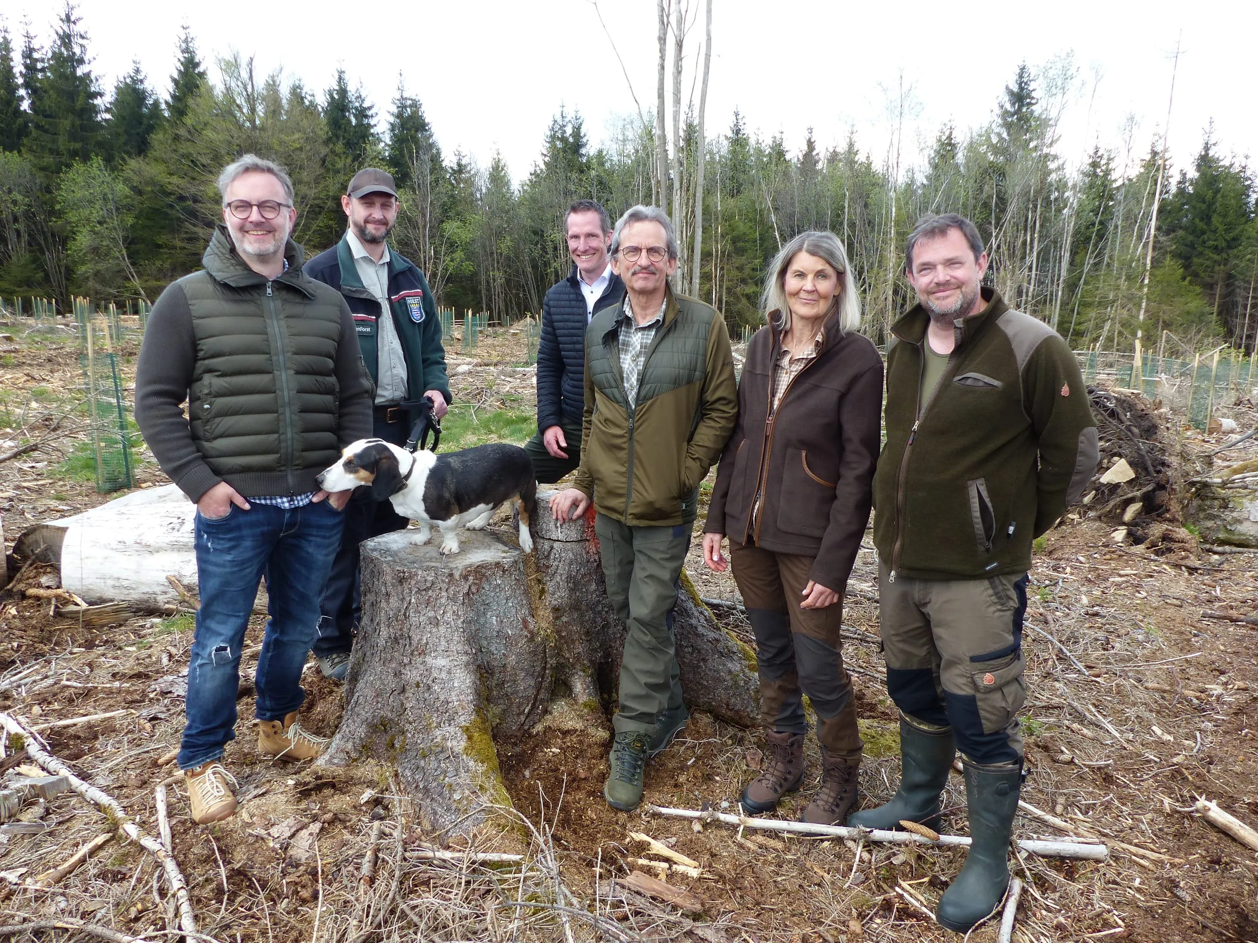 32.000 neue Bäume für den Westerwald