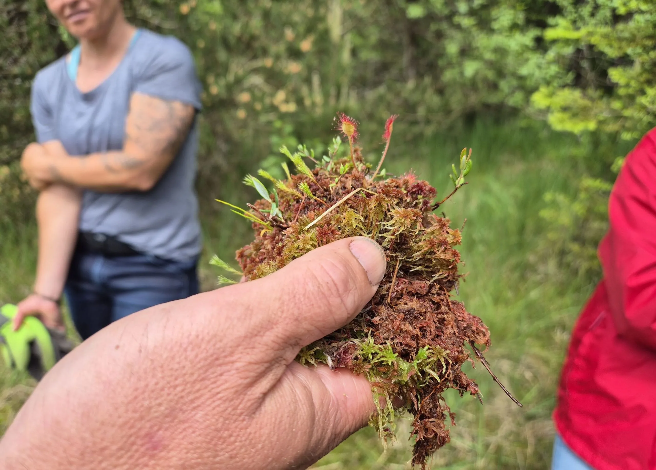 Buzil für den Hochmoor-Schutz aktiv
